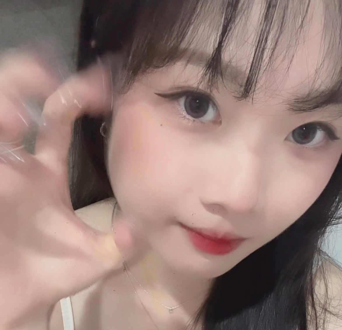 菜菜