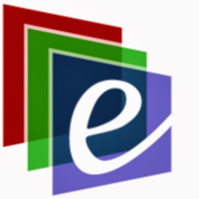 E Display Inc