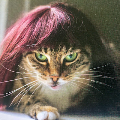 Cat Ryan