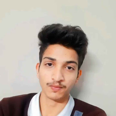 Aditya pratap singh Rajput