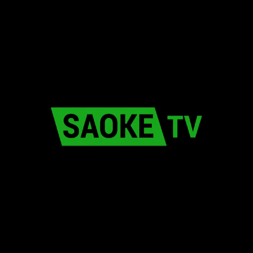 Saoketv art