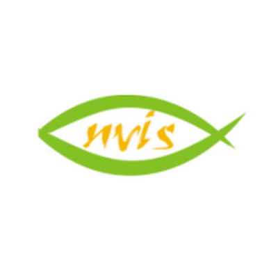 Nvis Technologies