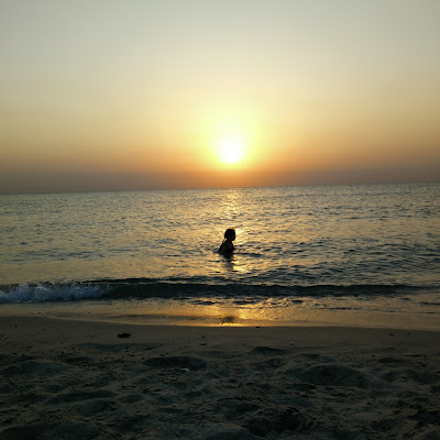 Hany Sarhan