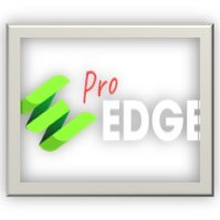 ProEdge Marketing Sole Co., Ltd. – Compr