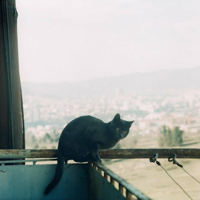 Irakli Berberashvili