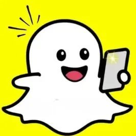 Snaptroid