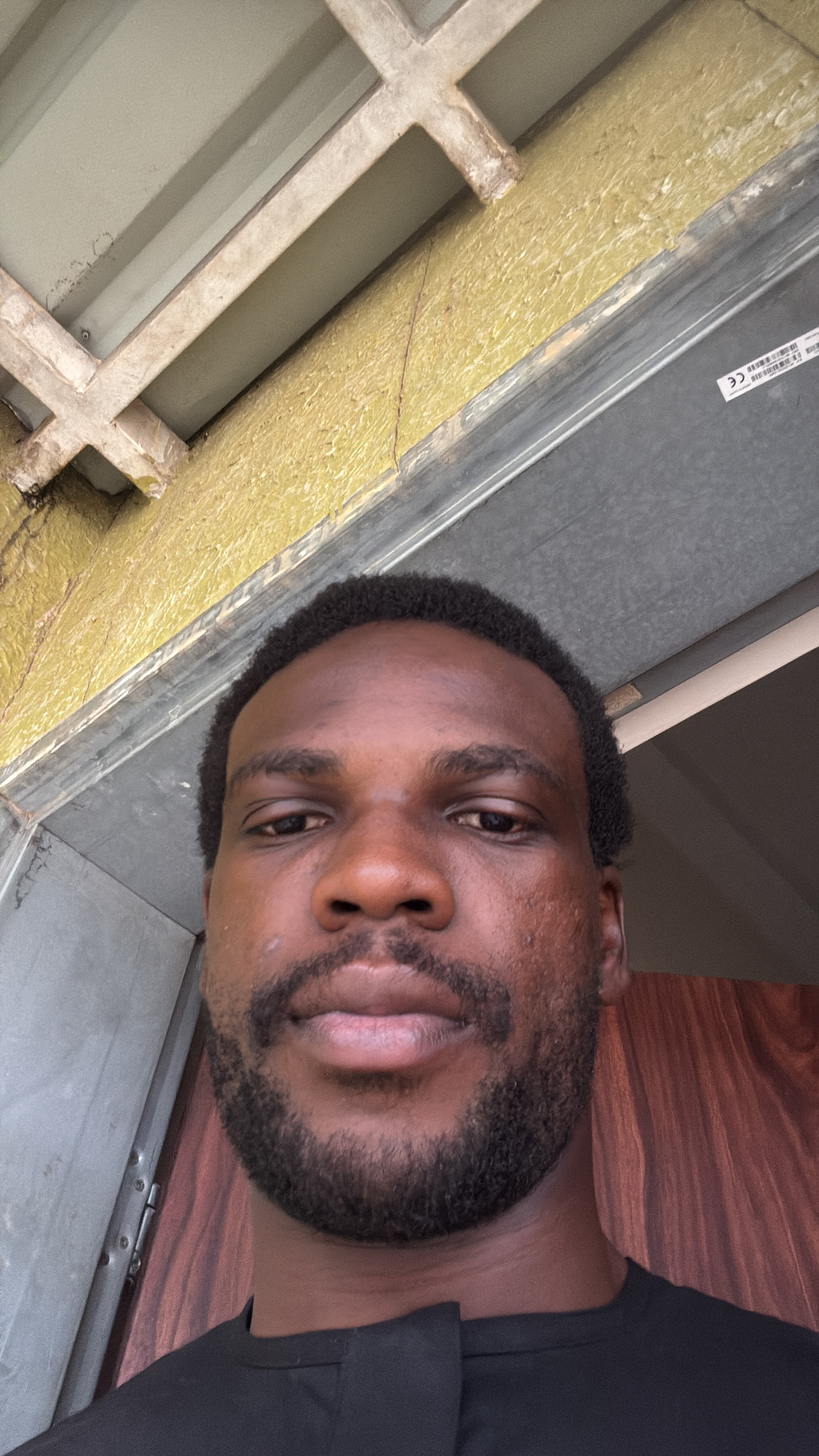 Michael Ibinola