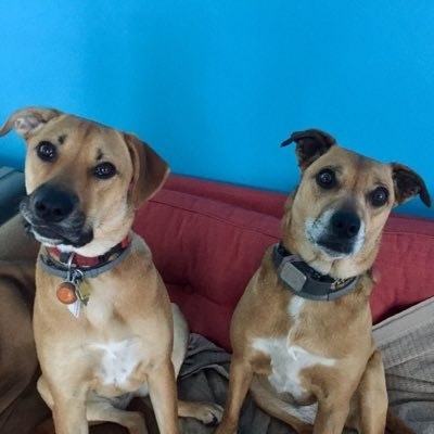 Scrappy & ScrappyDoo