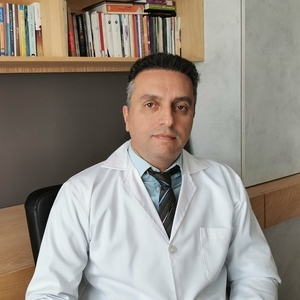 Hooman Mahmoudi