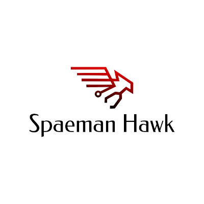 Spaeman Hawk Services L.L.P.