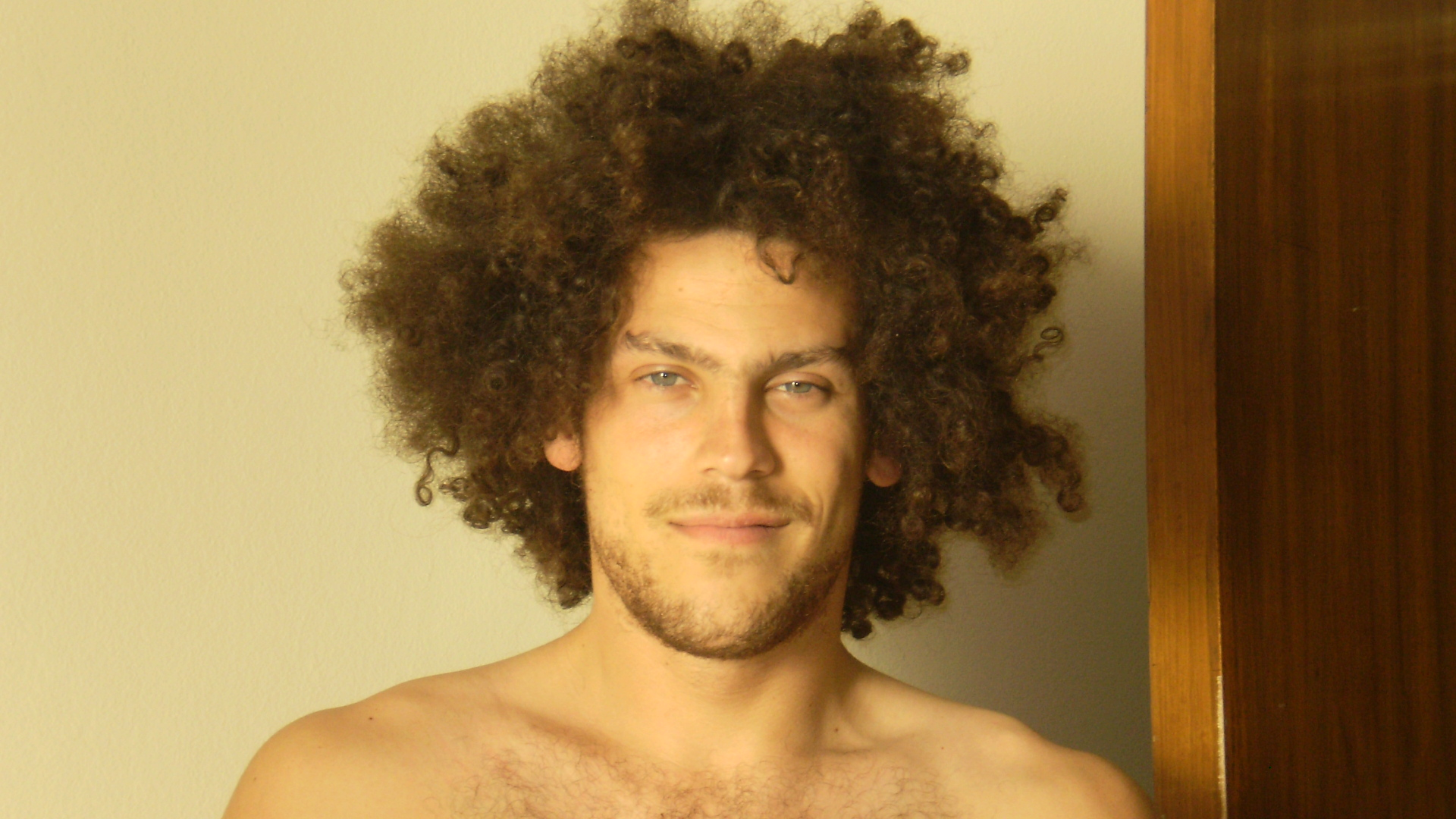 Alan Ventura Stark