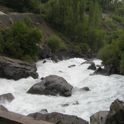 rehan ali