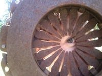 María José Álvarez