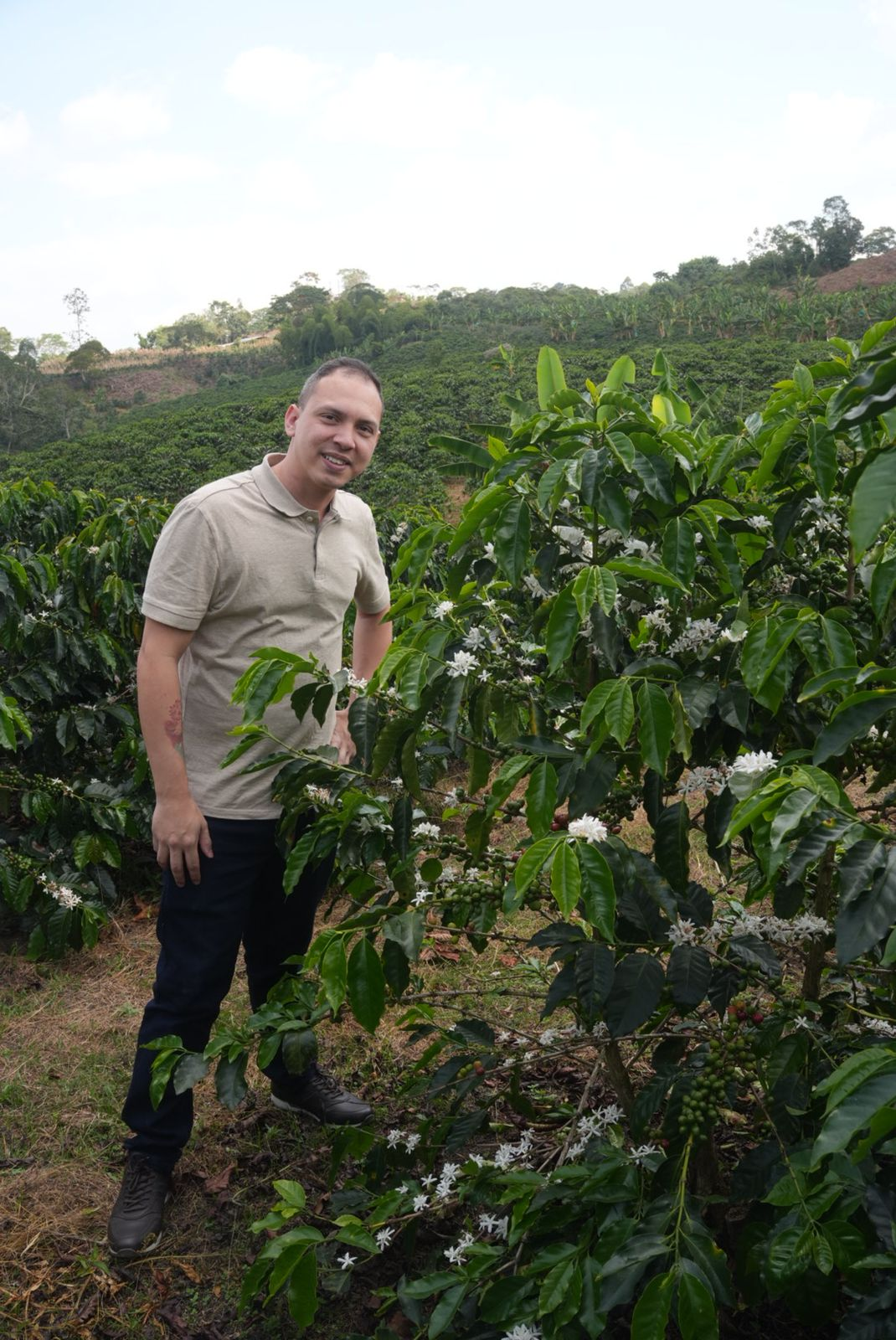 Miguel Carreño