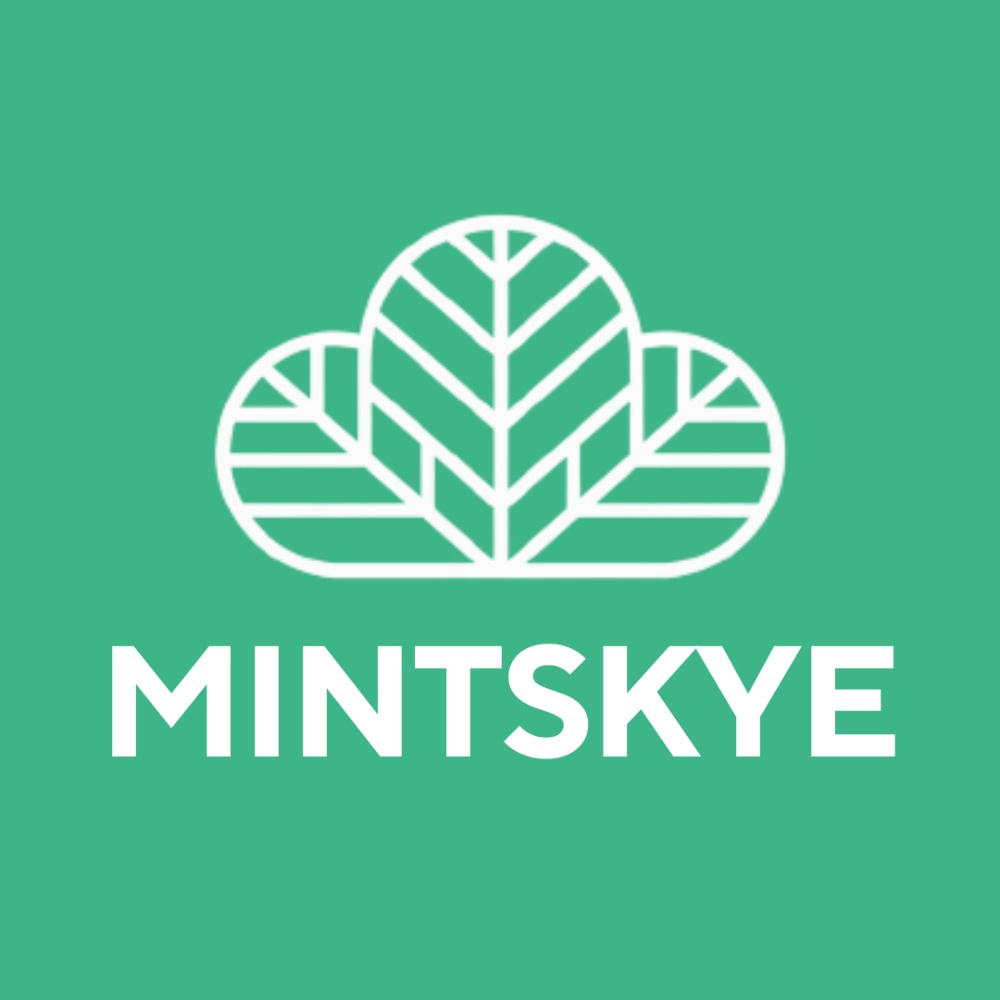 Mintskye