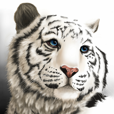 Severinus Ricci