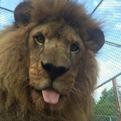 Dibbayajyoti Roy