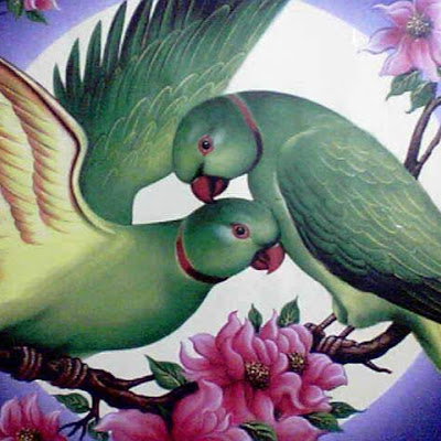 Waseem Abbas