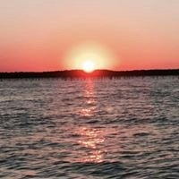 Anne-Béatrice Sonnier