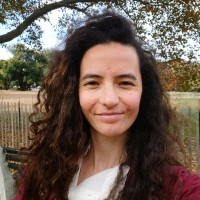 Allison Orsoni