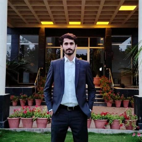 Hammad Ali
