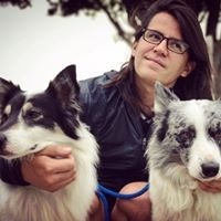 Mauricio Gonzalez Salcedo