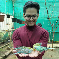B S Anurag Rao