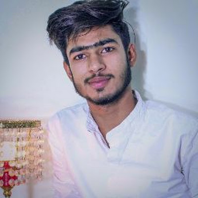 Muhammad Haseeb Anjum