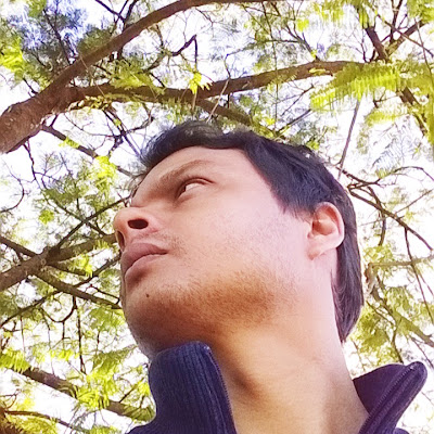 Claudio R SILVA