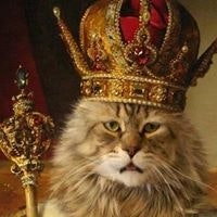 Grzegorz Hajdukiewicz