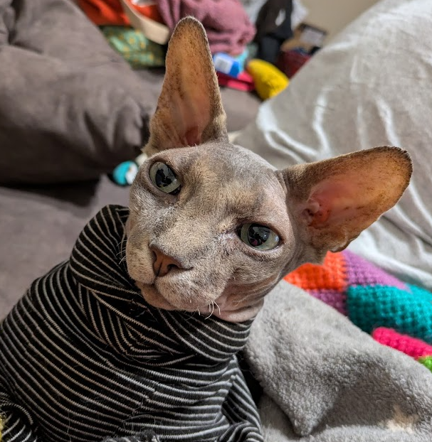 Antonio