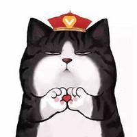 Mr.He