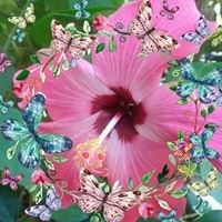 Liesje Marie Fennimore