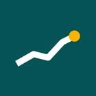 MoneyFlow Pro