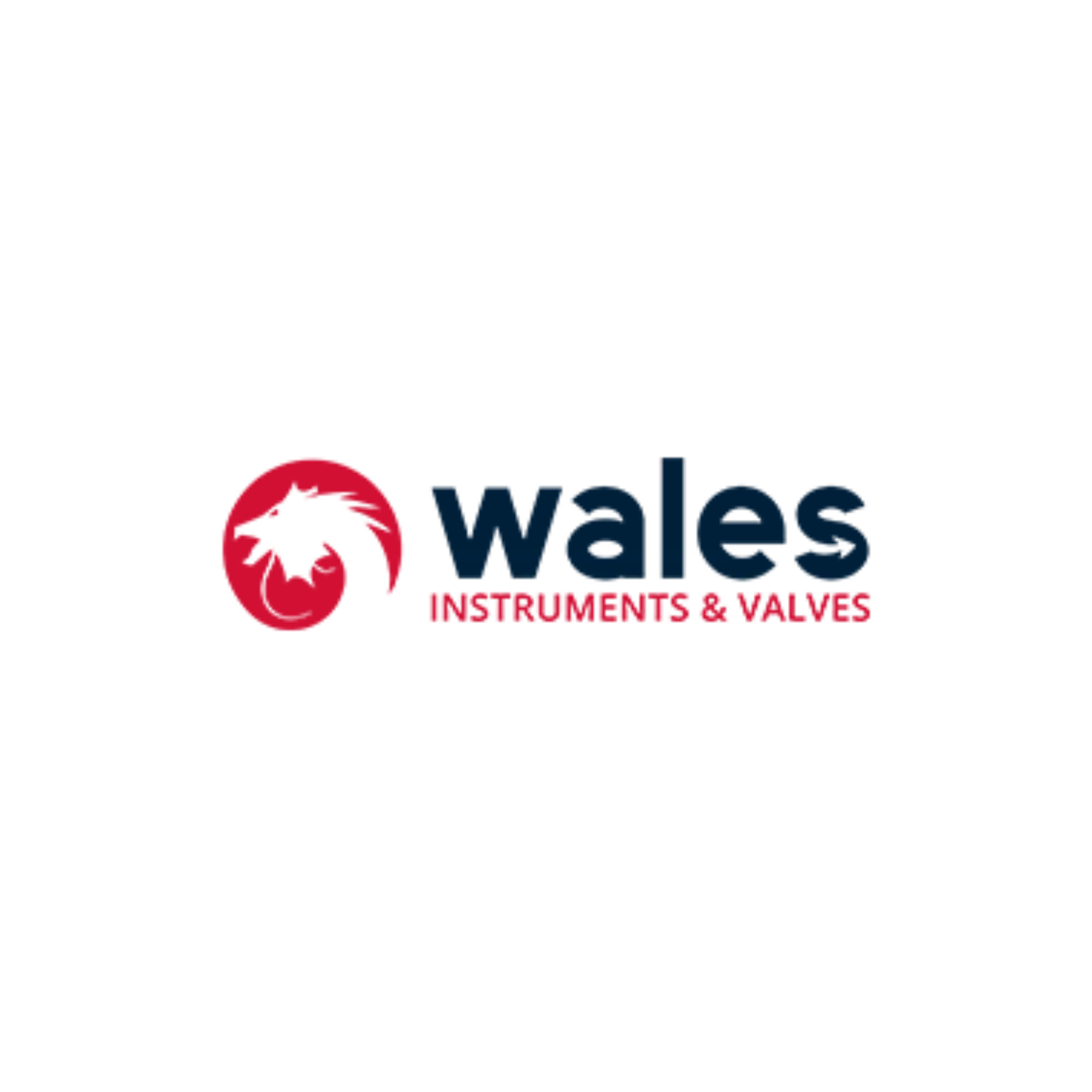 Wales Instruments & Valves