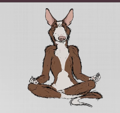 zendog usa