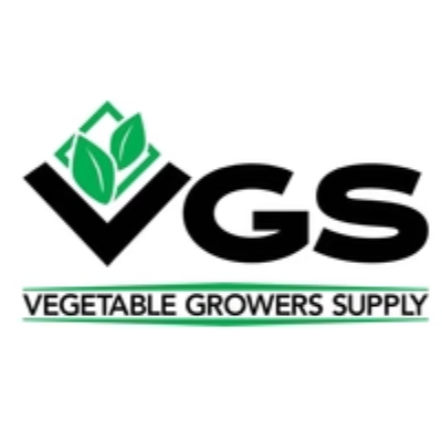 VSGTeam