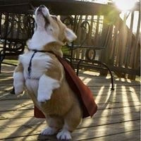 Kong Wongchokprasitti