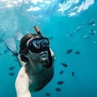 Sebastian Alegre Morris