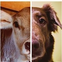 Esteban Arango Medina