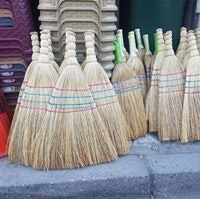 Маја Сонце Марковска