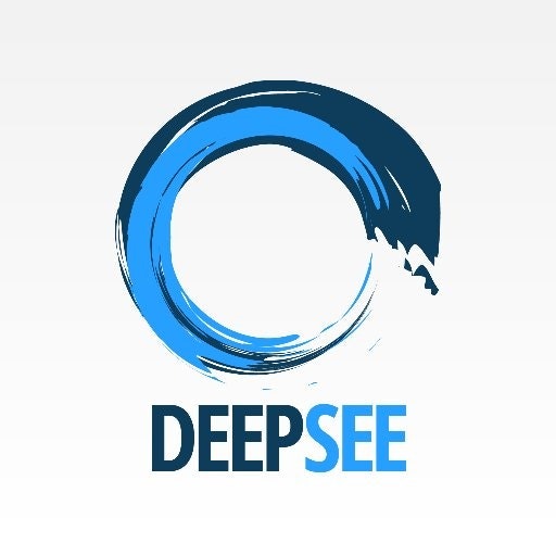 DeepSee.io