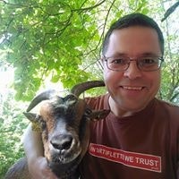 Jean-Michel Fontaine