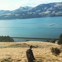 Hoani Colwell Taylor