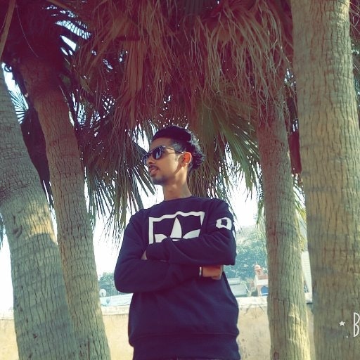 Sohit Goswami