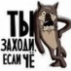 Игорь Кривуля