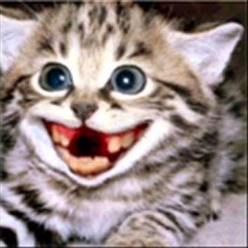 Александр Донецкий