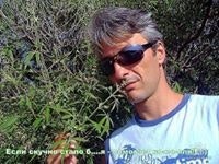 Евгений Кореневский