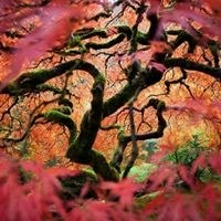 ทำวันนี้ ดีหรือยัง