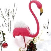 Jayne Davis Sachson Church